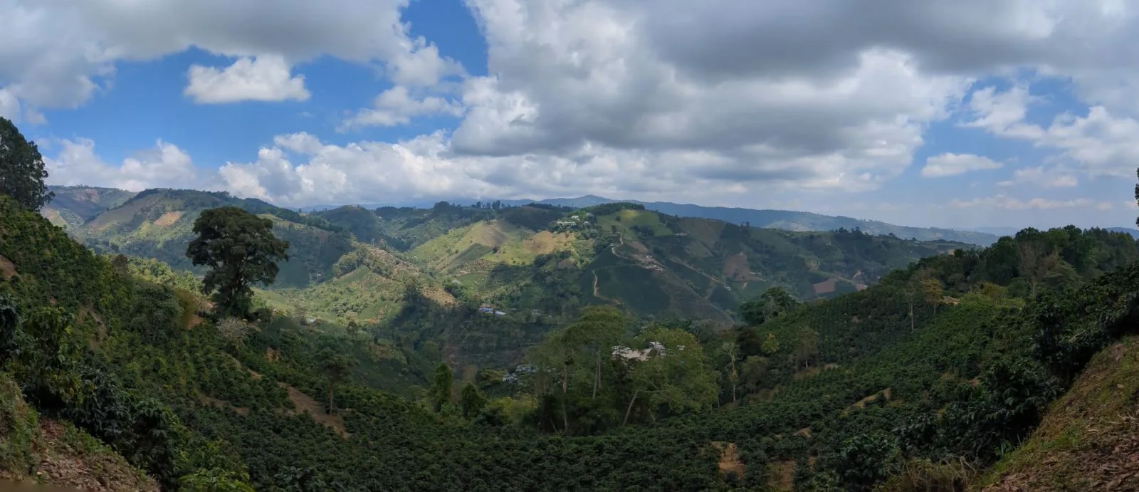 Montañas de Colombia donde se cultivan y tuestan nuestros granos