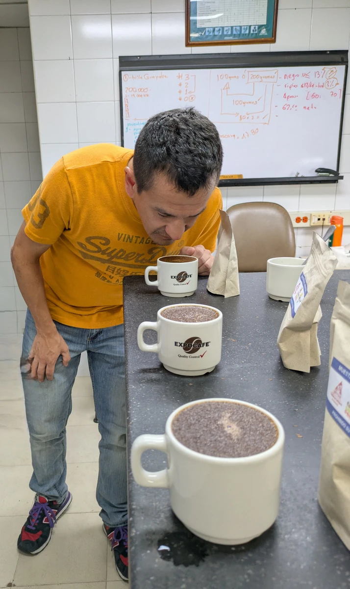 Specialty Coffee